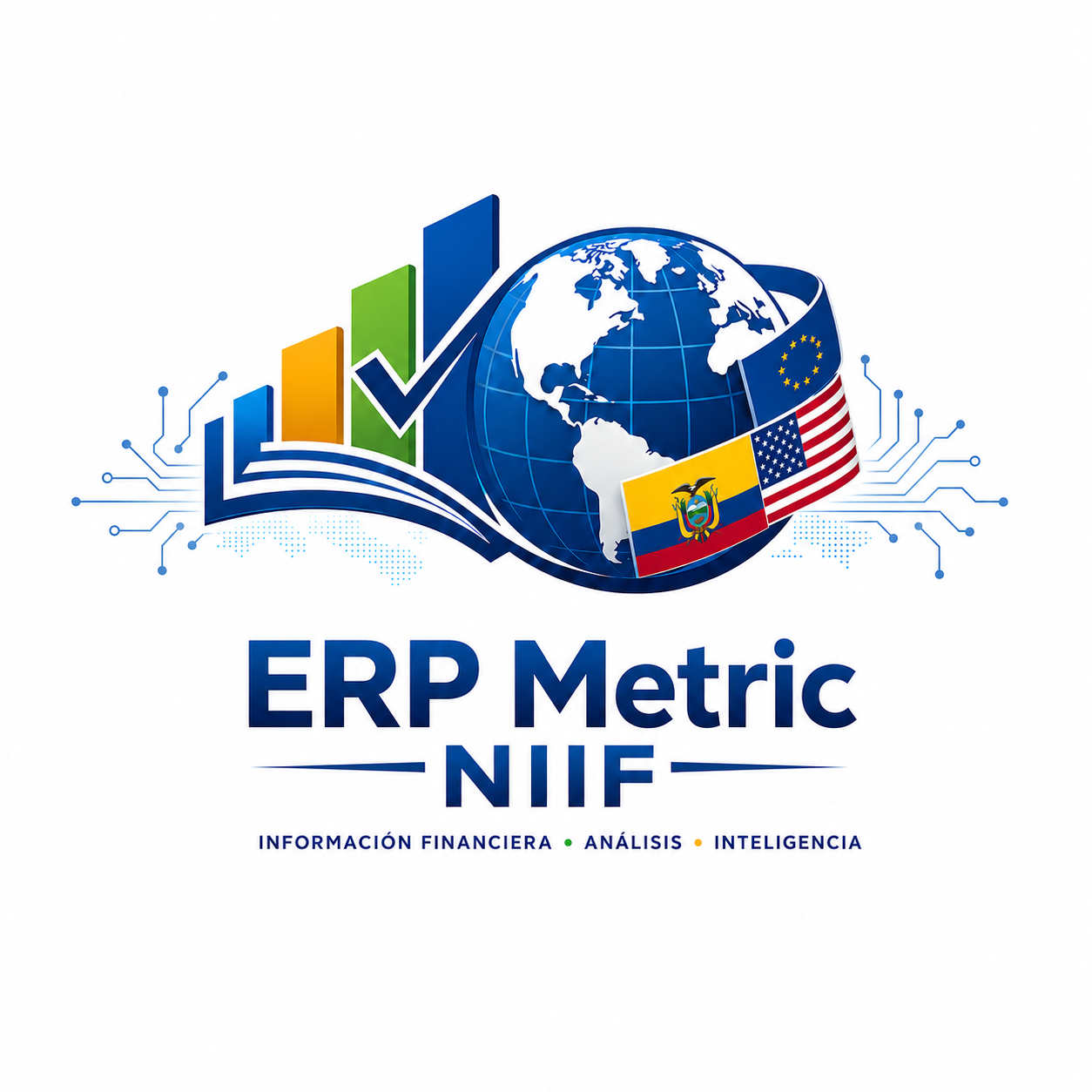 ERP Metric NIIF